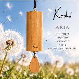 Koshi Aira - Lucht